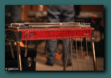 MSA Pedal Steel